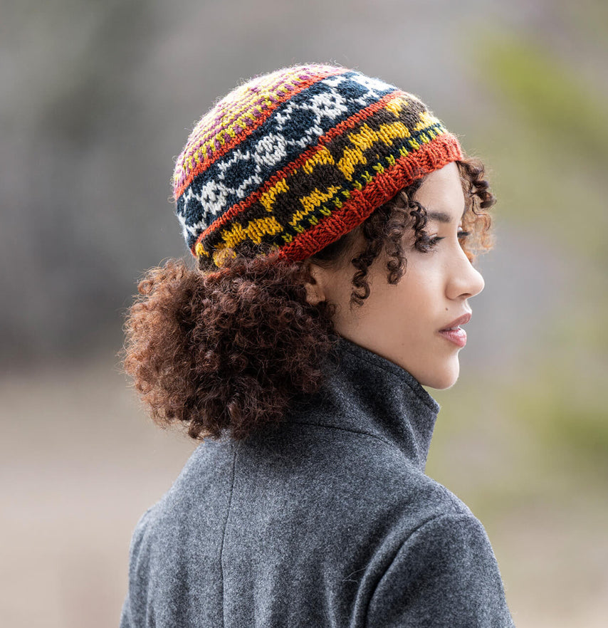 Blue Sky Fibers Fright & Delight Woolstok Worsted Bundle - 21 mini skeins