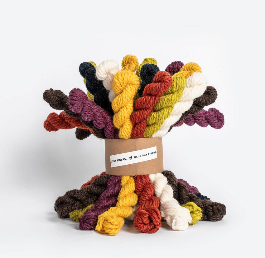 Blue Sky Fibers Fright & Delight Woolstok Worsted Bundle - 21 mini skeins