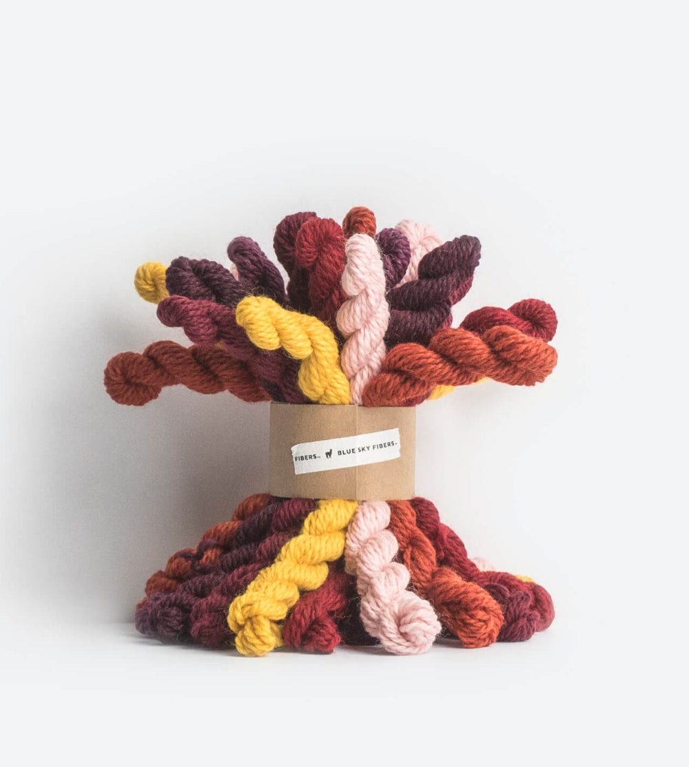 Blue Sky Fibers Warm Woolstok Worsted Bundle - 21 mini skeins
