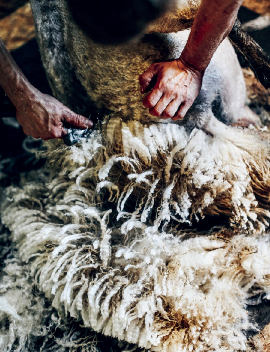 Island Knitting by Erika Âberg