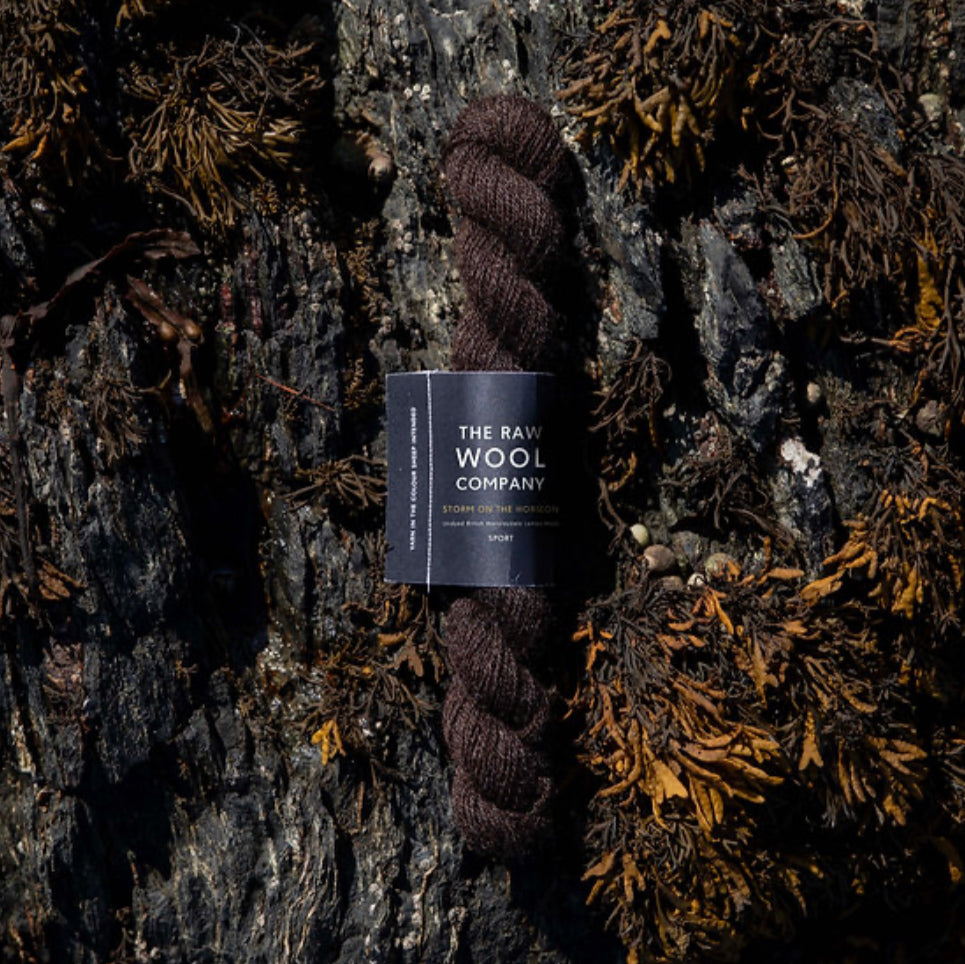 Raw Wool Company Storm on the Horizon (sport weight)