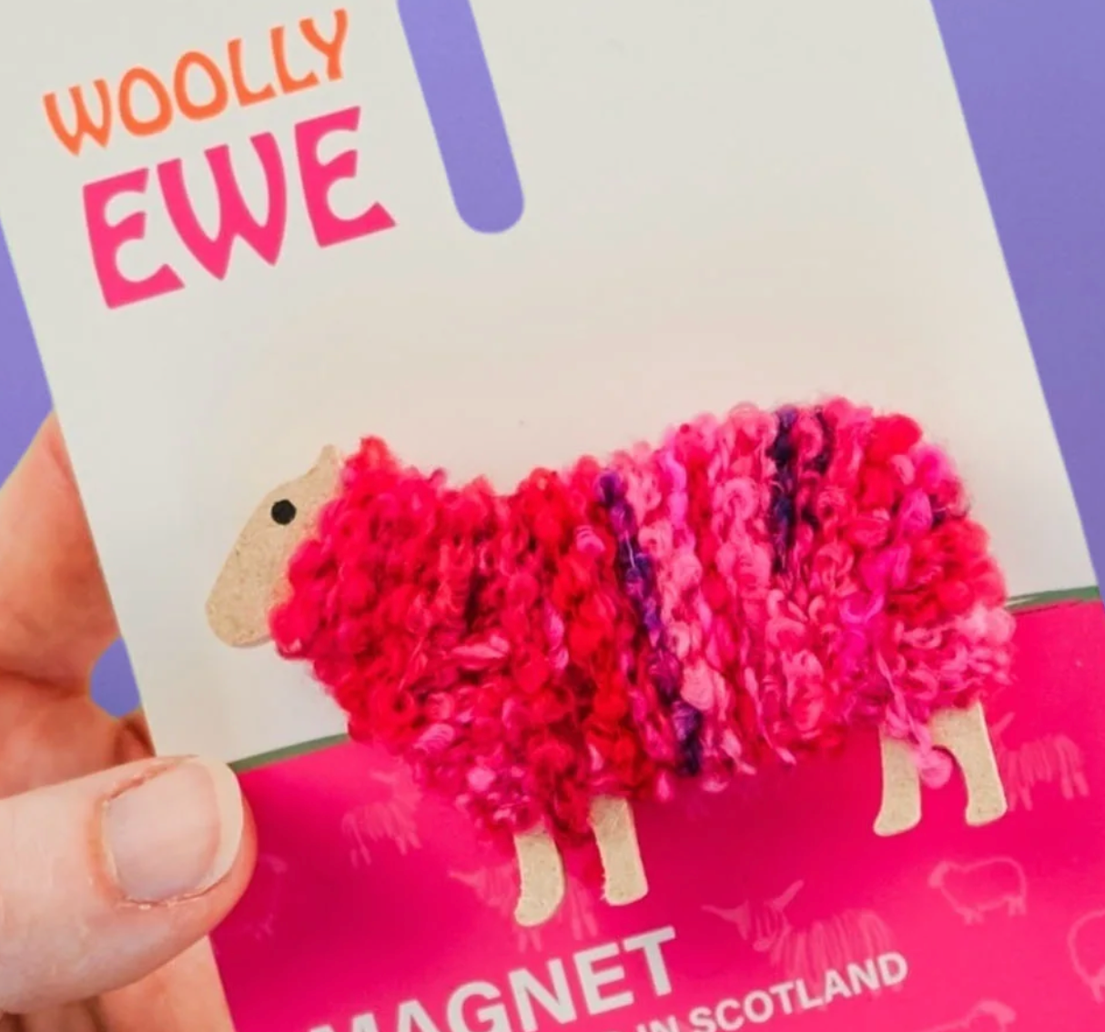 woolly ewe magnet