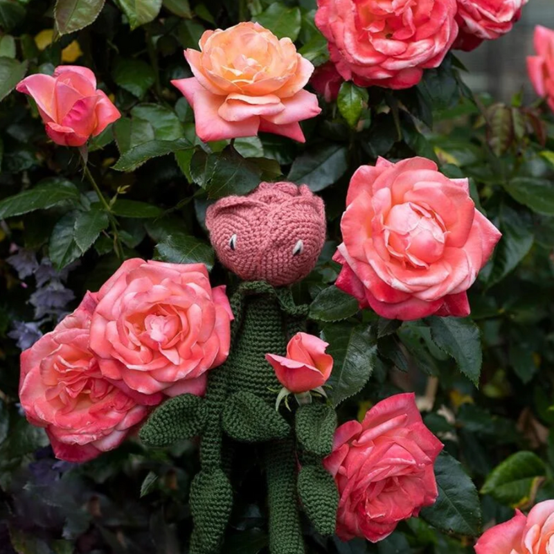 Toft Rose Crochet Kit