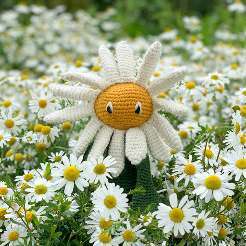 Toft Daisy Crochet Kit