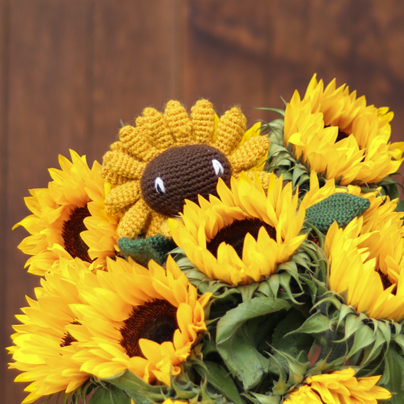 Toft Sunflower Crochet Kit