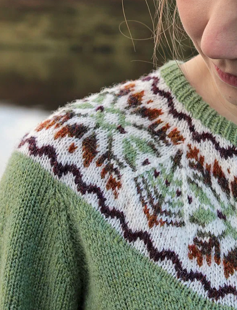 Hairst Yoke Cardigan by Sandra Manson