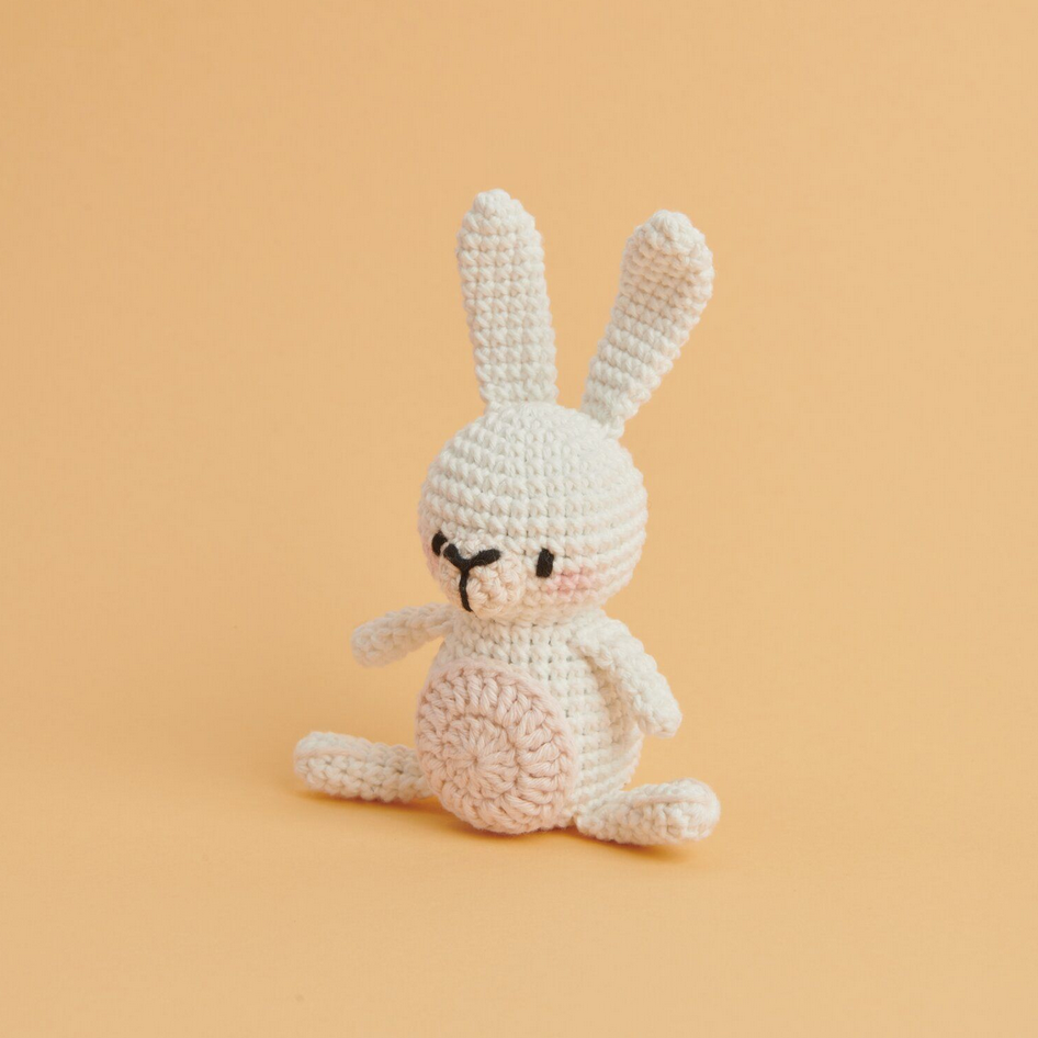Ricorumi Mini Easy Crochet Kits