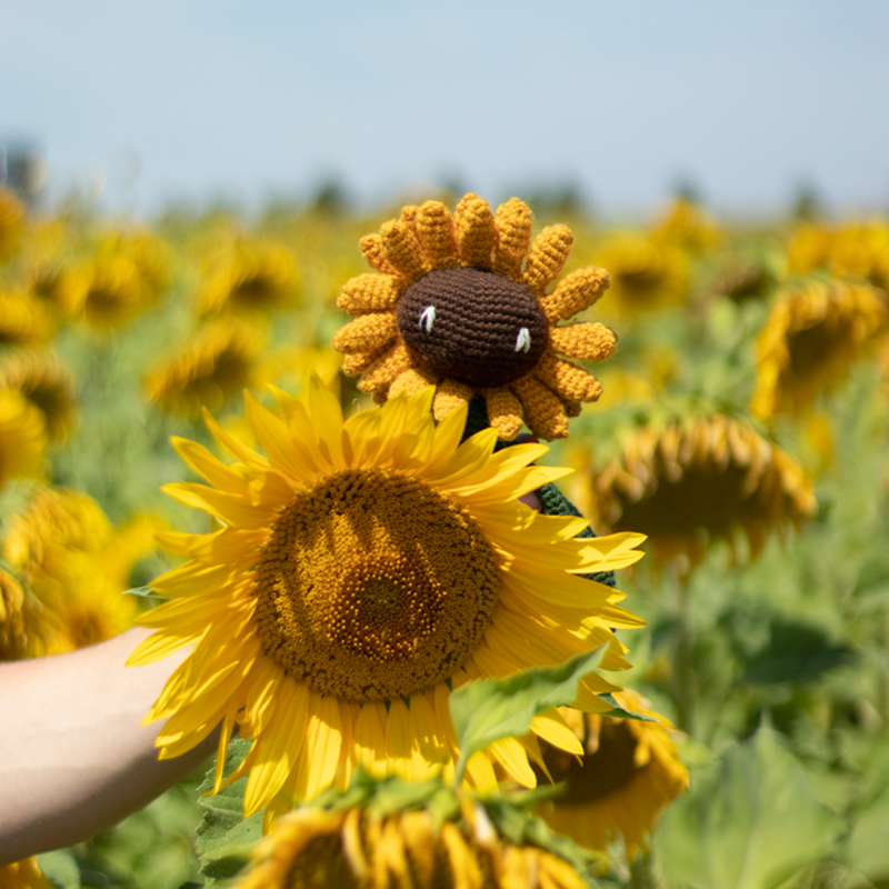 Toft Sunflower Crochet Kit